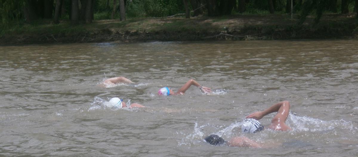 Aguas abiertas, nado, pileta, nadadores, competencia