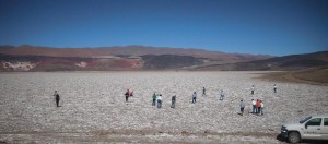 Puna, Catamarca, vicuñas, paisajes