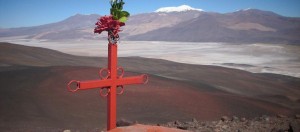 Puna, Catamarca, vicuñas, paisajes