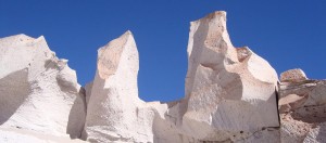 Puna, Catamarca, vicuñas, paisajes