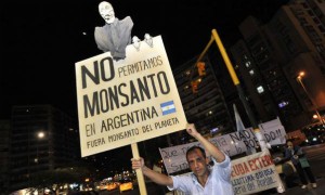 Monsanto, agrotóxicos, ambiente, ecología