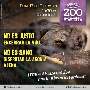 zoológico, ecología, animales