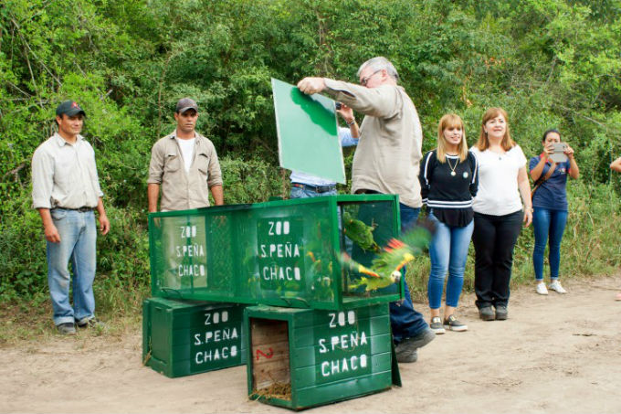 Chaco, liberación, animales, fauna, ecología