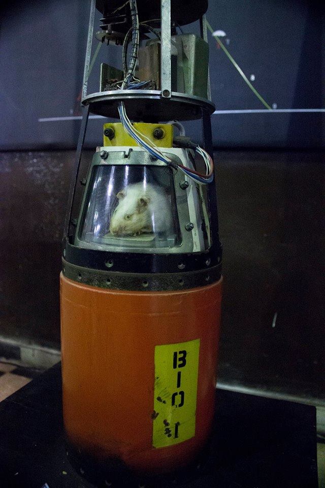 Belisario en una réplica de su cápsula en el cohete Yarará (Museo Universitario de Tecnología Aeroespacial, Córdoba, Argentina)