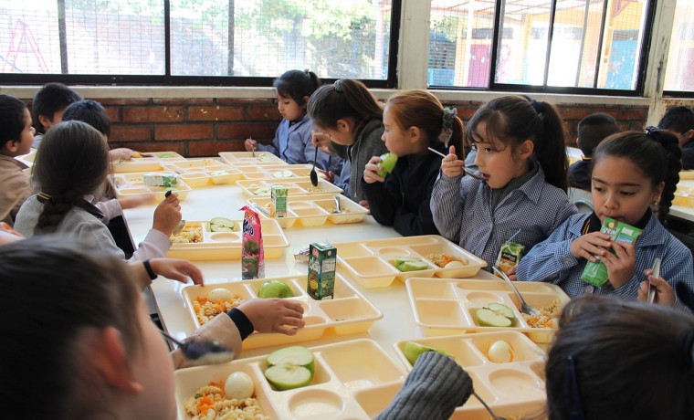 comedor escolar, calorías, comida