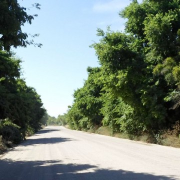 Punta Indio, reserva, Unesco, ecología