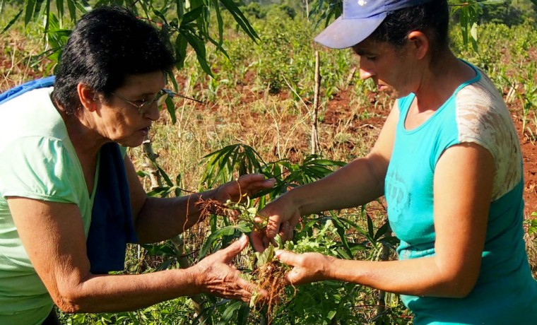 salud, Misiones