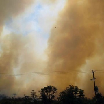 Fuego, incendios