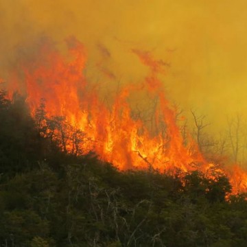 Fuego Neuquén incendio Villa Pehuenia