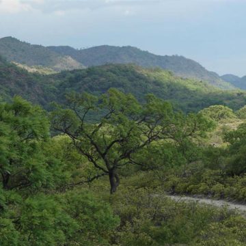 estancia Pinas, Córdoba, Parque Nacional