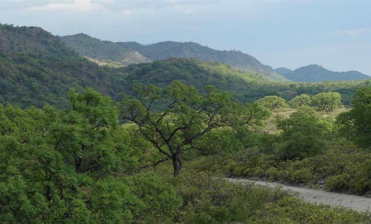 estancia Pinas, Córdoba, Parque Nacional