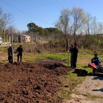 inclusión, cárcel, educación