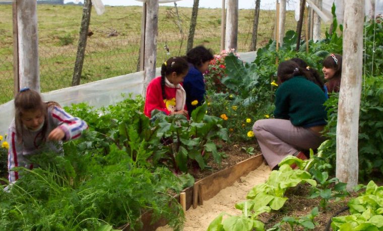 escuelas, ecología, educación