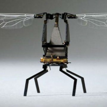 abeja, robot, invento