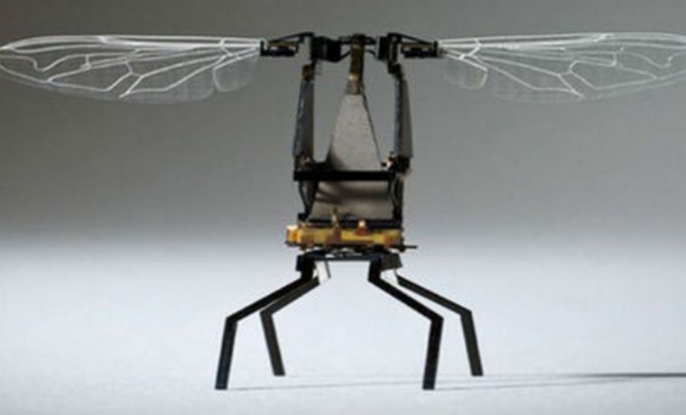 abeja, robot, invento