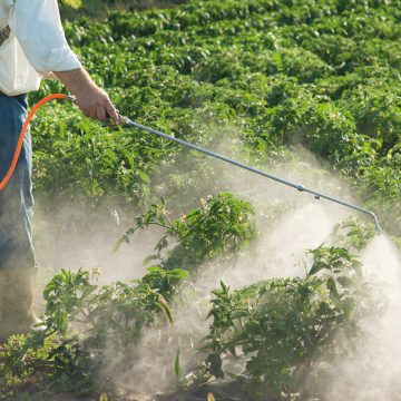 agroquimicos, UBA, ecología