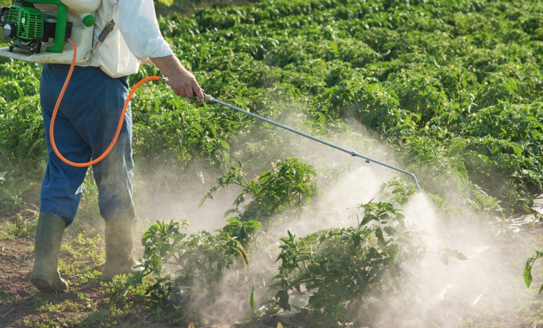 agroquimicos, UBA, ecología