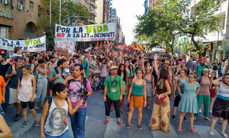 Córdoba, bosques, ecología, desmonte