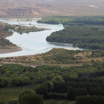 Río Negro, contaminación, ecología, naftaleno