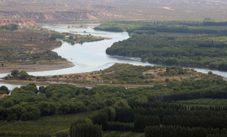 Río Negro, contaminación, ecología, naftaleno