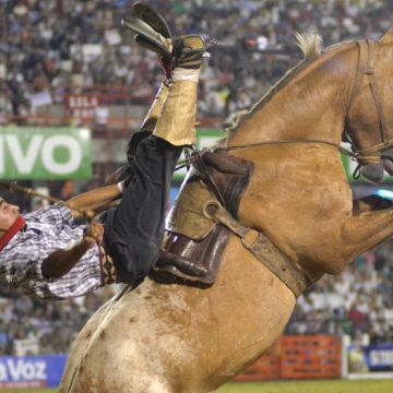 festival, doma, folklore, caballos