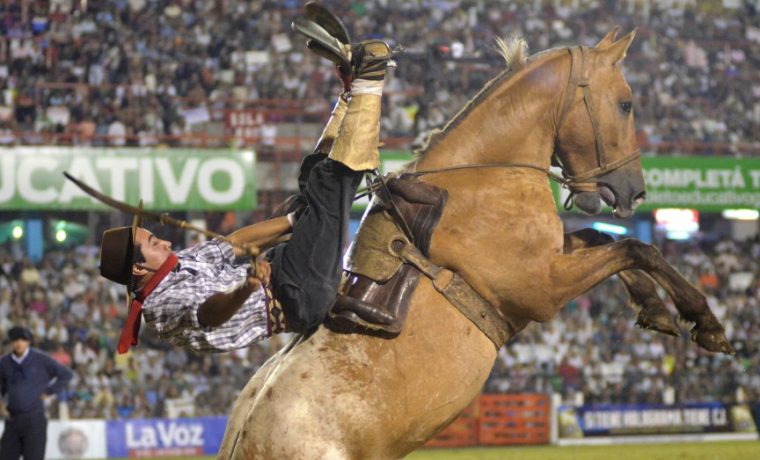 festival, doma, folklore, caballos