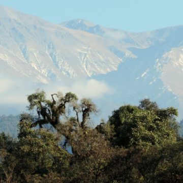 Tucumán, Aconquija, Parque Nacional