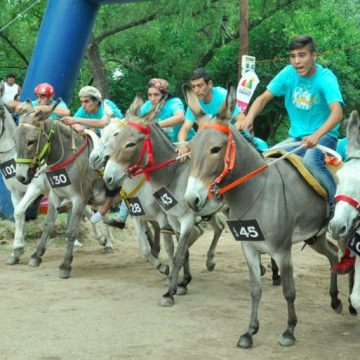 Rally de burros, Mina Clavero, Córdoba, turismo