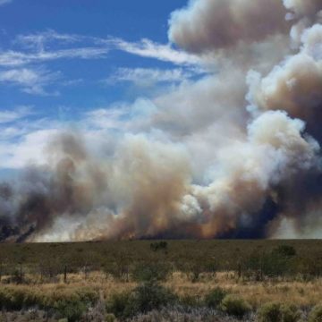 Río Negro, incendios, fuego