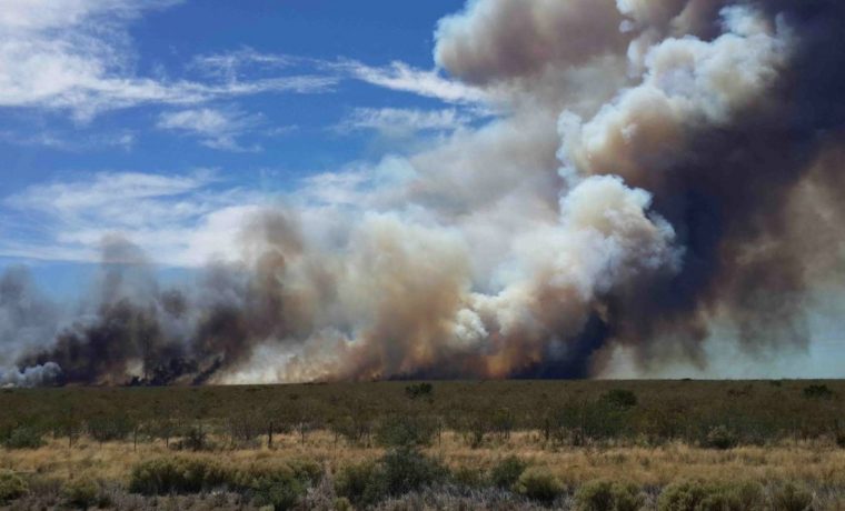 Río Negro, incendios, fuego