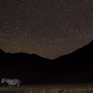 documental, San Martín, Cruce de los Andes