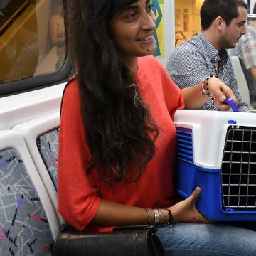 perros, gatos, subte, Buenos Aires