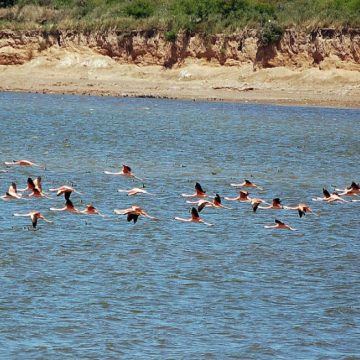 laguna Mar Chiquita, Córdoba, Parque Nacional