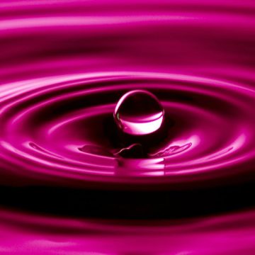 agua, rosa, ciencia, ecología