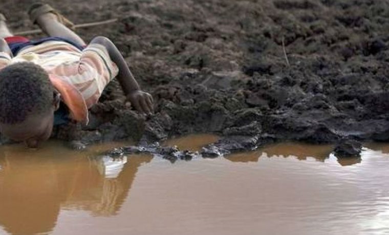 Día Mundial del Agua, agua, ecología, salud