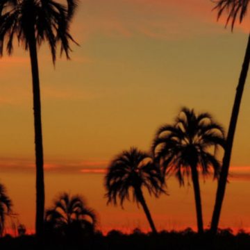 Parque Nacional El Palmar, ecología, caza