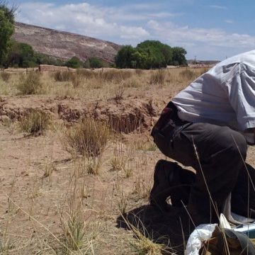 Puna, estaciones meteorológicas, clima, ecología