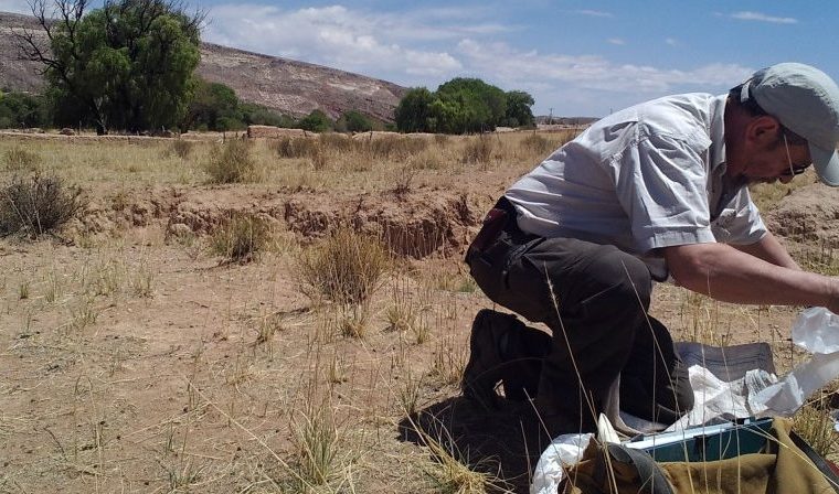 Puna, estaciones meteorológicas, clima, ecología