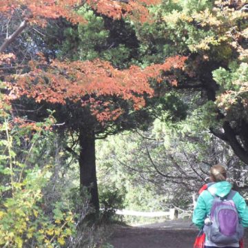 Traful, Patagonia, turismo