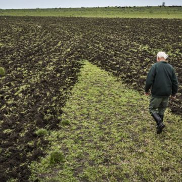 La Aurora, chacra, agrotóxicos, ecología, Benito Juárez