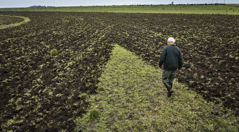 La Aurora, chacra, agrotóxicos, ecología, Benito Juárez