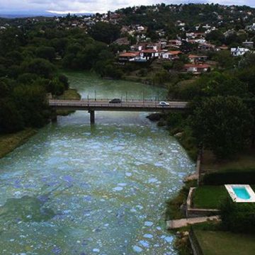 Villa Carlos Paz, Córdoba, ecología, lago San Roque