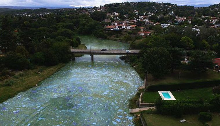 Villa Carlos Paz, Córdoba, ecología, lago San Roque