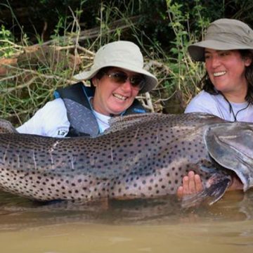 surubí, Corrientes, Chaco, ecología