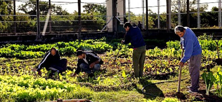 talleres, cárceles, solidaridad, cultura