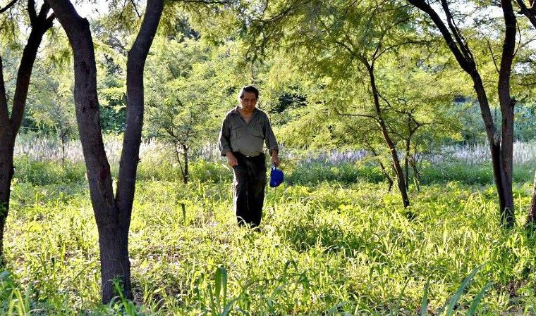 ecología, Santiago del Estero, música, folklore, bombos