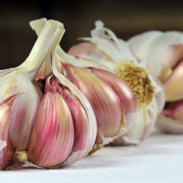 ajo, producción, alimentos