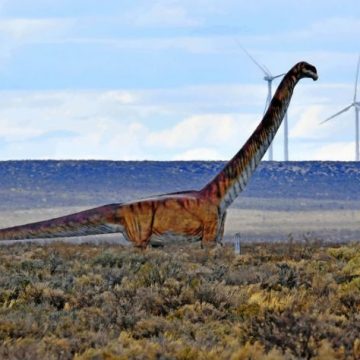 dinosaurio, Patagonia, Patagotitan mayorum