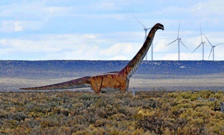 dinosaurio, Patagonia, Patagotitan mayorum