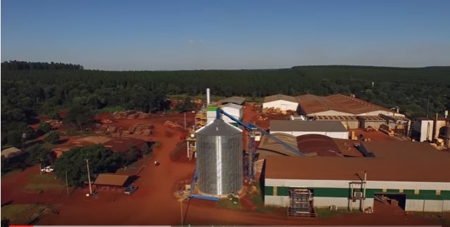 Misiones, planta de energía, biomasa, ecología